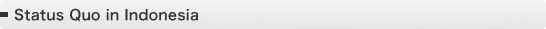 Status Quo in Indonesia