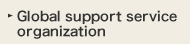 Global support service organization