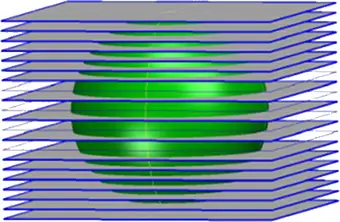 3Dで可視化された緑色の球体の水平断面図