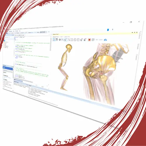 AMS解析エンジンによる筋骨格シミュレーション実行画面。コードエディタ、3Dモデルビュー、解析結果グラフを同時に表示するユーザーインターフェース