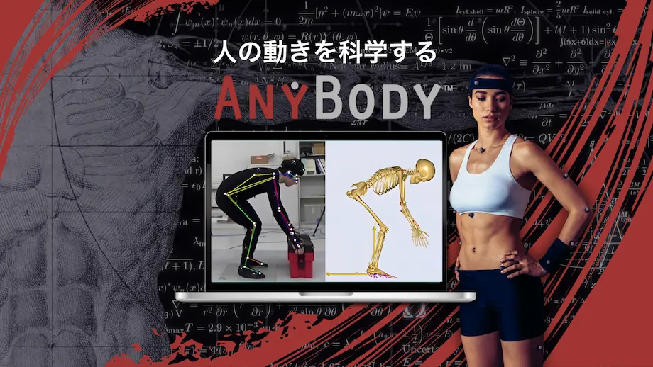 ヒトの絶対筋力―超音波診断による体肢組成・筋力の分析― artery_elasticity.jpg