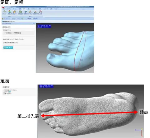 足の3Dスキャンモデル上で足周・足幅を赤線で計測し、別ビューで踵から第二趾先端までの足長を矢印表示した自動採寸例。