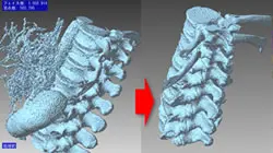 CTスキャンした脊椎点群をPOLYGONALmeisterでノイズ除去して滑らかな骨モデルへ修正したビフォーアフター画像。