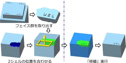 POLYGONALmeisterでロゴ形状のフェイス群を抽出し、位置合わせ後に移植コマンドで別モデルへ貼り付ける手順図